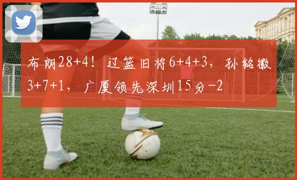 布朗28+4！辽篮旧将6+4+3，孙铭徽3+7+1，广厦领先深圳15分