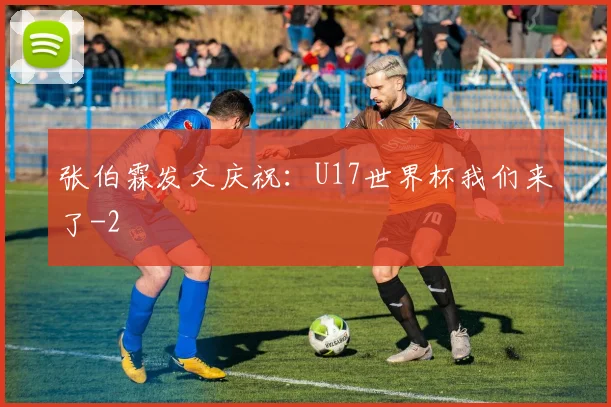 张伯霖发文庆祝：U17世界杯我们来了