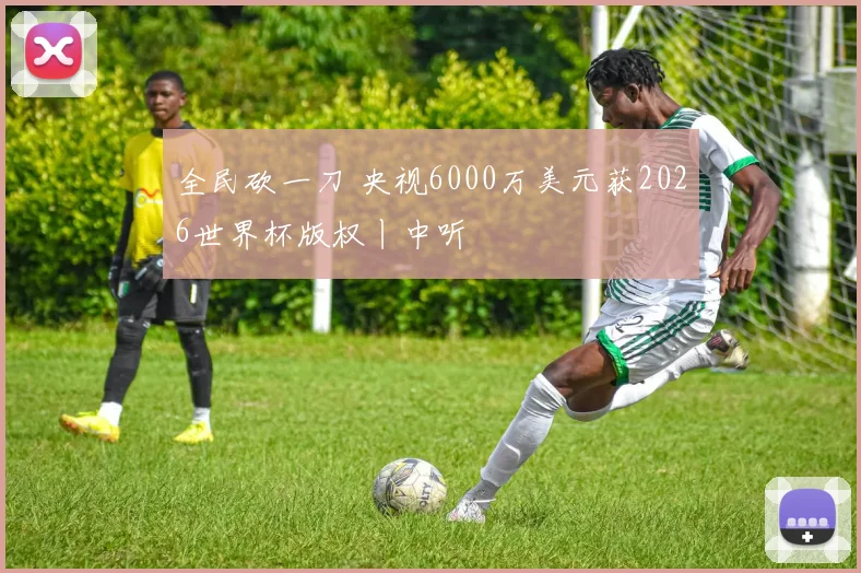 全民砍一刀 央视6000万美元获2026世界杯版权丨中听