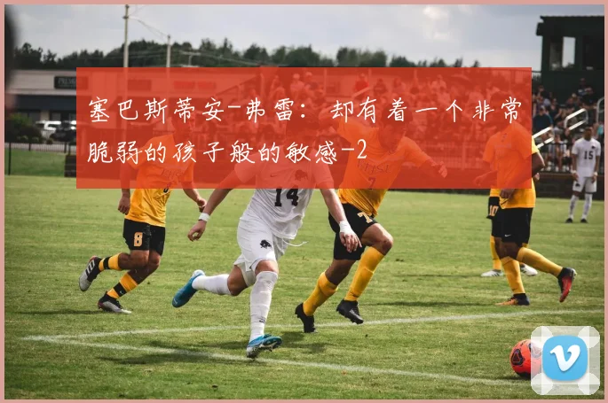 塞巴斯蒂安-弗雷：却有着一个非常脆弱的孩子般的敏感