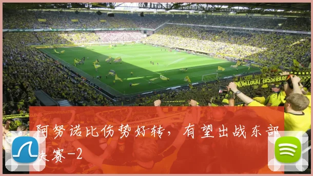 阿努诺比伤势好转，有望出战东部决赛