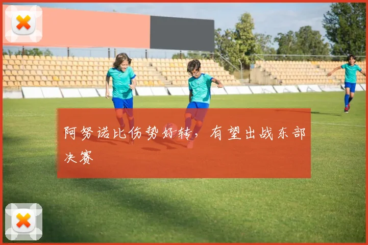 阿努诺比伤势好转，有望出战东部决赛